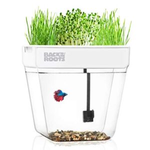 Back to the Roots Indoor Aquaponic Garden and Fishtank - 3 Gallon Self Watering, Mess-Free Planter and Self-Cleaning Fishtank for Herbs, Microgreens, Bamboo, Succulents, and Houseplants, support Fish