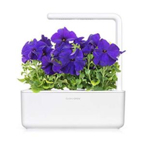 Click and Grow Smart Garden Blue Petunia Plant Pods, 3-Pack
