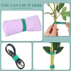 Plant Tapes 200 Feet x 1/2 Inch 6 Rolls Green Garden Tape for Climbing Plant Support Recycle Garden Ties Reusable Plastic Nylon Loop Fastening Plant Ties for Indoor Outdoor Tomato Vines Flowers Trees