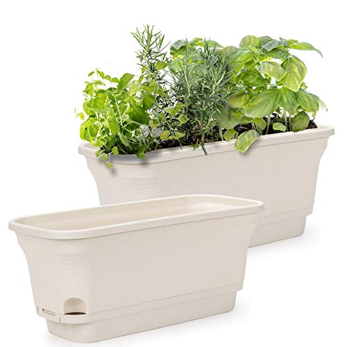 Amazing Creation Self Watering Planters Rectangular Planter Box, Windowsill Garden Bed, Planters for Outdoor Plants, Planters for Indoor Plants, Flowers, Herbs, Succulents, Beige, (2 Pack)