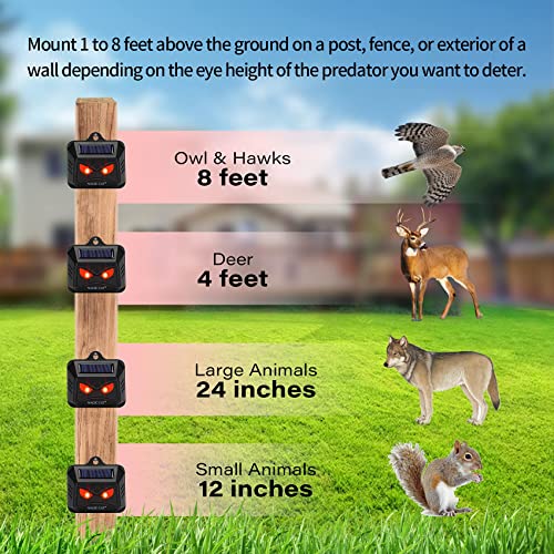 MAGIC CAT Solar Nocturnal Animal Repeller, Wild Animal Predator Deterrent with Red LED Lights, Waterproof Skunk, Deer, Coyote, Fox, Raccoon Animal Repellent for Garden Yard Farm Chicken Coop (4 Pack)