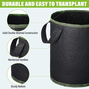 Mimorou 40 Pack 5 Gallon Fabric Grow Bags Nonwoven Aeration Fabric Pots with Handles Heavy Duty Thickened Aeration Container for Garden and Planting Vegetable Flowers, Black with Green, Black,green