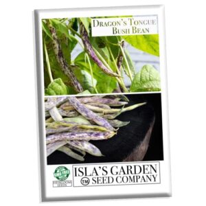 dragon’s tongue bush bean seeds for planting, (dragon langerie), 25+ heirloom seeds per packet, (isla’s garden seeds), non gmo seeds, scientific name: phaseolus vulgaris, great home garden gift