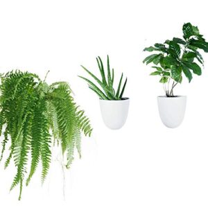 make good virgo wall planters (set of 3) – easy to water and install – lightweight – design your own vertical garden – melamine plastic