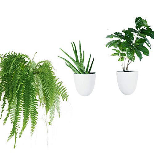 Make Good Virgo Wall Planters (Set of 3) - Easy to Water and Install - Lightweight - Design Your Own Vertical Garden - Melamine Plastic