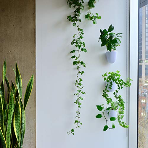 Make Good Virgo Wall Planters (Set of 3) - Easy to Water and Install - Lightweight - Design Your Own Vertical Garden - Melamine Plastic