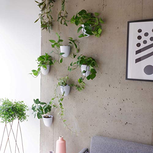 Make Good Virgo Wall Planters (Set of 3) - Easy to Water and Install - Lightweight - Design Your Own Vertical Garden - Melamine Plastic