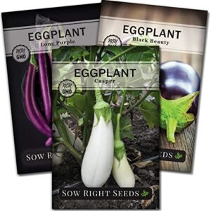 sow right seeds – eggplant seed collection for planting – black beauty, casper and long eggplant varieties non-gmo heirloom seeds to plant an outdoor home vegetable garden – great gardening gift