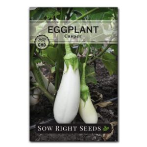 Sow Right Seeds - Eggplant Seed Collection for Planting - Black Beauty, Casper and Long Eggplant Varieties Non-GMO Heirloom Seeds to Plant an Outdoor Home Vegetable Garden - Great Gardening Gift