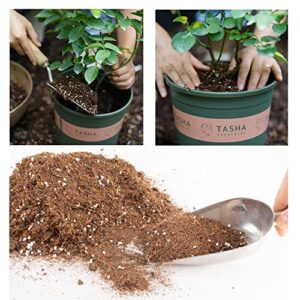 6 Qt Potting Soil, Organic Potting Mix for Indoor and Outdoor Plants, Succulent and Cactus Soil Potting Mix with Fast Draining Formula Natural Mixture Bonsai Soil for Plant Fast Growing