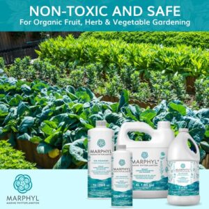 MARPHYL Organic Liquid Fertilizer - Liquid Plant Food - All-Purpose, Nutrient-Rich Lawn Fertilizer & Soil Enhancer for House Plants, Flowers, Vegetables Succulents Bamboo, Hydroponics Plant Fertilizer