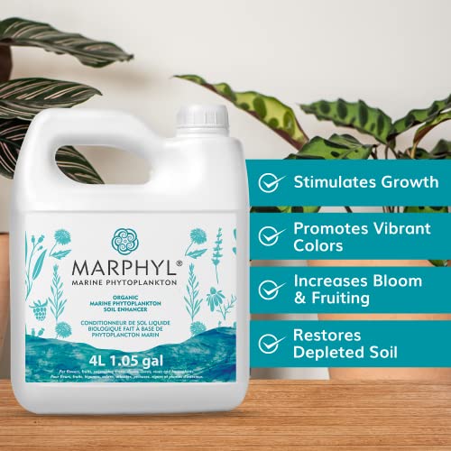 MARPHYL Organic Liquid Fertilizer - Liquid Plant Food - All-Purpose, Nutrient-Rich Lawn Fertilizer & Soil Enhancer for House Plants, Flowers, Vegetables Succulents Bamboo, Hydroponics Plant Fertilizer