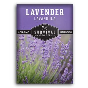 lavender seed for planting – 1 packet with instructions to plant and grow edible & medicinal lavandula herbs in your home vegetable garden – non-gmo heirloom variety – survival garden seeds