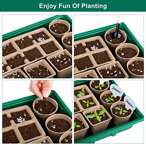 Hahood 6 Sets Cells Seed Starter Tray Kit with Humidity Dome and Base Seed Starter Peat Pots Germination Trays Including Plastic Plant Growing Trays for Indoor Outdoor Gardening, Green