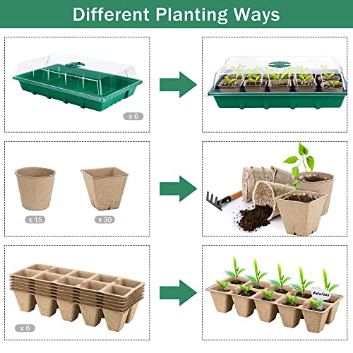 Hahood 6 Sets Cells Seed Starter Tray Kit with Humidity Dome and Base Seed Starter Peat Pots Germination Trays Including Plastic Plant Growing Trays for Indoor Outdoor Gardening, Green