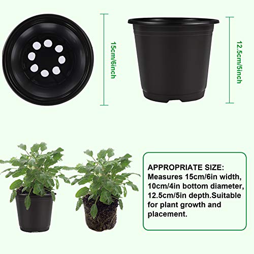 50 Pcs 0.5 Gallon Black Plastic Plant Nursery Pots 6 Inches Seed Starting Pots Containers with 50 Labels