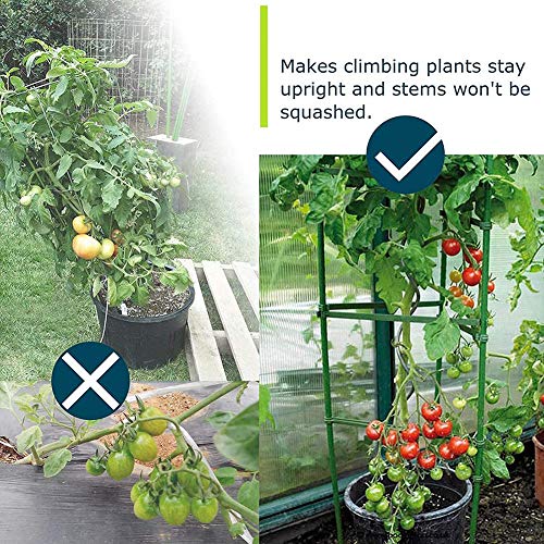 3Pack Tomato Cages,Up to 51inch Plant Stakes Vegetable Trellis Assembled for Garden Climbing Plants Vegetables Flowers