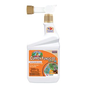 bonide captain jack’s copper fungicide, 32 oz ready-to-spray disease control solution for organic gardening, controls leaf curl