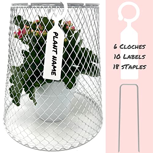 RE GOODS Chicken Wire Plant Cover – 6 Garden Cloche Baskets, Cage Protectors from Animals and Rabbits, Includes 18 Garden Stakes and 10 Waterproof Labels (White)