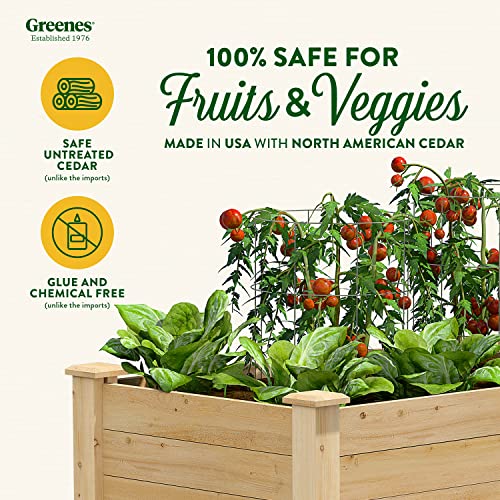 Greenes Fence RCEV2448 Fence Elevated Garden Bed, 48" L x 24" W x 31", Cedar