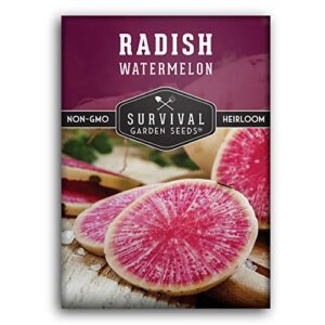 survival garden seeds – watermelon radish seed for planting – packet with instructions to plant and grow unique asian vegetables in your home vegetable garden – non-gmo heirloom variety