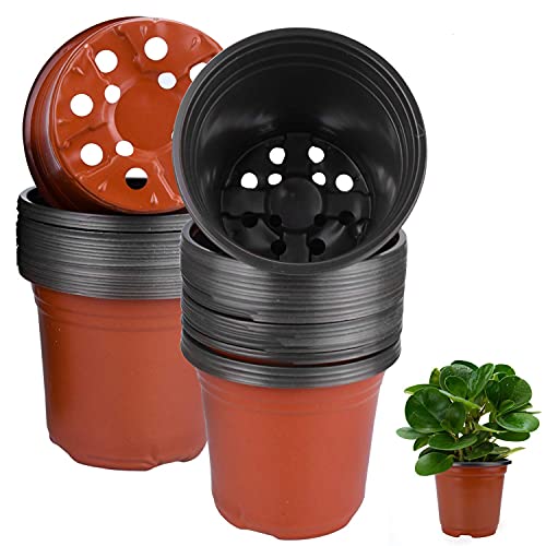 Enenes Plastic Plant Pot 50 Pack Flower Nursery Pots 4 Inch Starter Pot for Seedling Little Garden Pots to Re-Pot Succulents and Small Plants