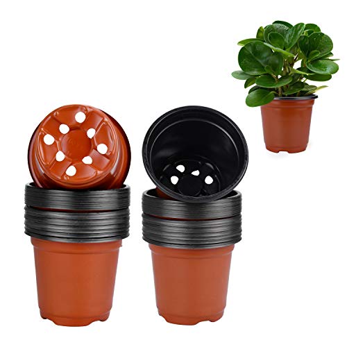 Enenes Plastic Plant Pot 50 Pack Flower Nursery Pots 4 Inch Starter Pot for Seedling Little Garden Pots to Re-Pot Succulents and Small Plants