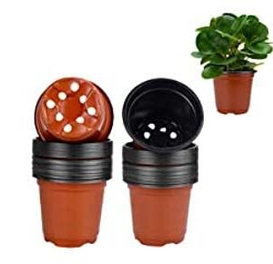 Enenes Plastic Plant Pot 50 Pack Flower Nursery Pots 4 Inch Starter Pot for Seedling Little Garden Pots to Re-Pot Succulents and Small Plants