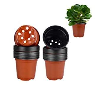 Enenes Plastic Plant Pot 50 Pack Flower Nursery Pots 4 Inch Starter Pot for Seedling Little Garden Pots to Re-Pot Succulents and Small Plants