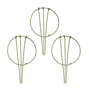 wowoda 3-pack garden plant support stake green plant support rings for climbing plant, flowers ( 10″ wide x 17″ high )