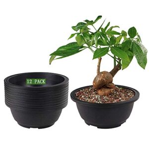 muzhi 12 pack matte finish black round bonsai bowl planter pot with drainage, plastic garden low planter pots 7.8″