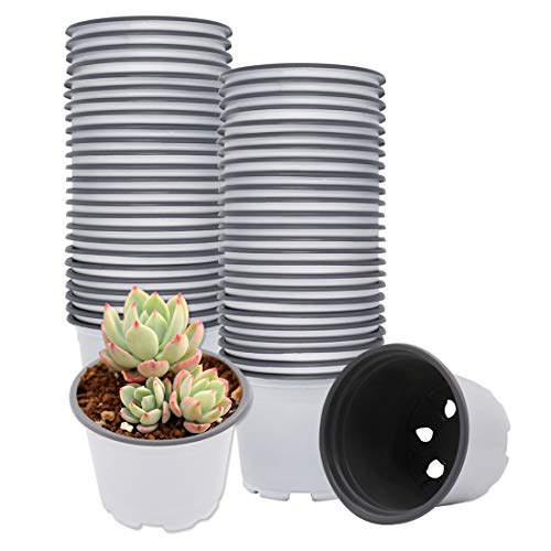 Plastic Plant Nursery Pots White Flower Seedling Starter Pots for Little Garden Pots to Repot Succulents and Plants (100PCS)