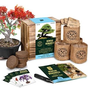 bonsai tree seed starter kit – mini bonsai plant growing kit, 4 types of seeds, potting soil, pots, pruning shears scissor tool, plant markers, wood gift box, indoor garden gardening gifts ideas