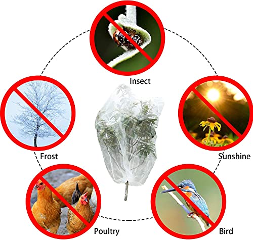 Alpurple 3 PCS Insect Bird Barrier Netting Mesh with Drawstring-2.6 x 2.6 Feet Fruit Tree Net-Garden Netting Plant Cover for Protect Plant Fruits Flower from Insect Bird Eating
