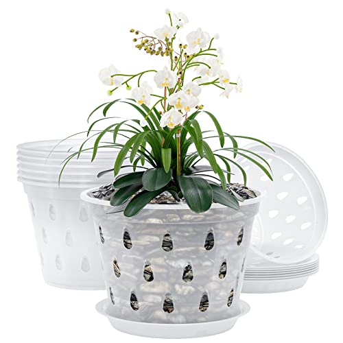 AAHGGBA Orchid Pot, 7 Inch 8 Pack Orchid Pots with Drainage Holes and Saucers Clear Plastic Orchid Pots Provide Good Air Circulation Garden Planters Pots for Indoor and Outdoor Use