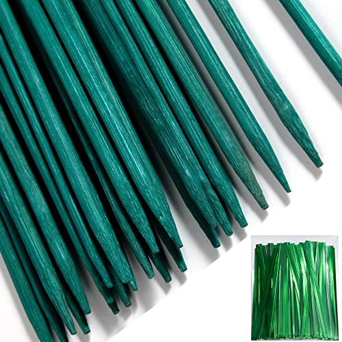 50 PCS 18 inches Plant Sticks Support,Green Bamboo Sticks,Garden Wood Plant Stakes,Floral/Orchid/Tomato Wooden Stakes Plant Support Stakes Wooden,Wooden Sign Posting Garden Sticks, Xgmelon787f