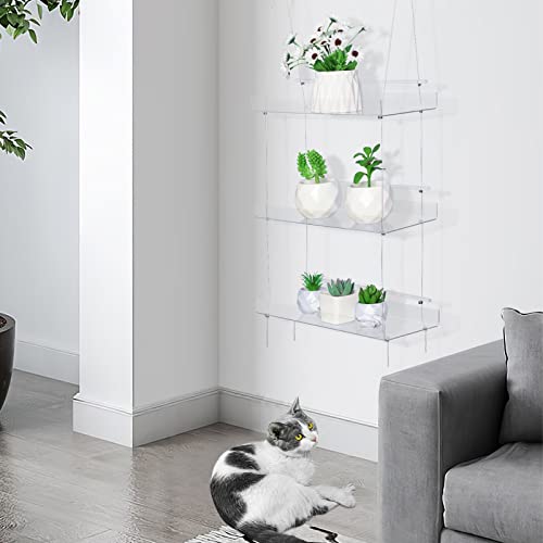 Clear Hanging Window Plant Shelves,Indoor Windows Wall Hanging Plant Stand Flower Display,Flower Pot Organizer Storage for Window Grow Herbs,Microgreens,Succulents,Flower (3 Layer)