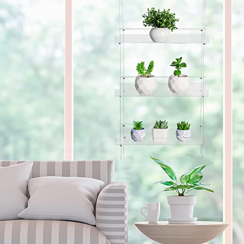 Clear Hanging Window Plant Shelves,Indoor Windows Wall Hanging Plant Stand Flower Display,Flower Pot Organizer Storage for Window Grow Herbs,Microgreens,Succulents,Flower (3 Layer)