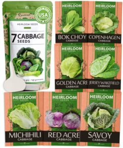 7 cabbage seeds for planting – 2000+ heirloom & non-gmo seeds – golden acre, bok choy, savoy, michihili, red acre, copenhagen market, jersey wakefield cabbages – garden vegetable lettuce seeds