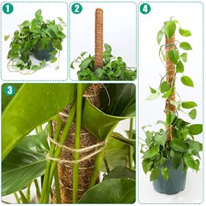 ADEBOLA 2 PCS 26 Inches Tall Moss Poles, Bendable Plant Poles for Climbing Plants with Two Garden Jute Rope for Monstera, Sphagnum, Pothos and Other Indoor Plants