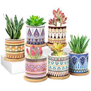 feoxialy succulent plant pots 6 pack with drainage 3.1 inch cylinder flower pots small ceramic pots for plants indoor&outdoor garden flower planter tray for all house plants/succulents/flowers/cactus