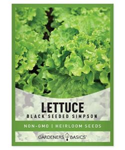 green leaf lettuce seeds for planting – (black seeded simpson variety) heirloom, non-gmo lettuce variety- 2 grams seed great for spring, summer, fall, winter garden and hydroponics by gardeners basics