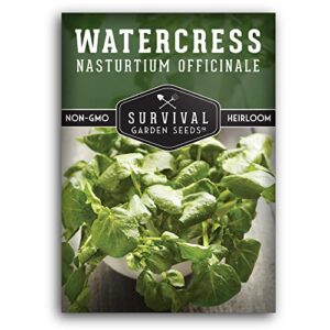 survival garden seeds – watercress seed for planting – packet with instructions to plant and grow nasturtium officinale in your home vegetable garden – delicious superfood non-gmo heirloom variety