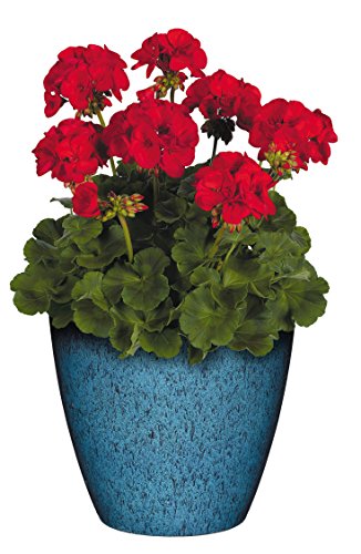 Classic Home and Garden 807-375R Premiere Collection Planter, Vogue 8", Indigo