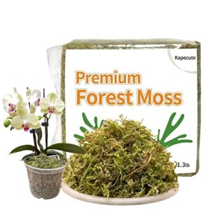 kapecute 1.3 lb natural forest moss brick for potted plants, good orchid potting mix, perfect for reptile terrarium bedding, indoor and outdoor garden decor