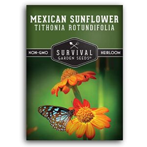 survival garden seeds – mexican sunflower seed for planting – packet with instructions to plant and grow tithonia rotundifolia in your home vegetable or flower garden – non-gmo heirloom variety