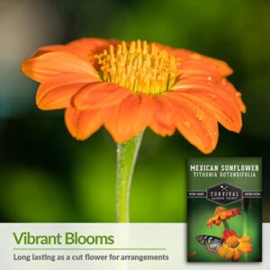 Survival Garden Seeds - Mexican Sunflower Seed for Planting - Packet with Instructions to Plant and Grow Tithonia Rotundifolia in Your Home Vegetable or Flower Garden - Non-GMO Heirloom Variety