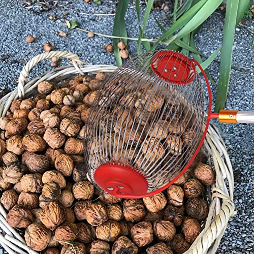 Large Nut Gatherer Rolling Nut Harvester Ball Picker Adjustable Lightweight Outdoor Manual Tools Picker Collector Walnuts Pecans Golf Nerf Darts and Ball 1'' to 3'' in Size (7.48 * 12.6in)