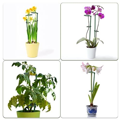 Plant Support Stakes Garden Stakes Plant Sticks Single Stem Flower Stakes, GAGINANG 6 PCS Plant Cage Stakes Rings with Fixed Buckle for Plant Flowers Orchid Peony Rose - 16 inches