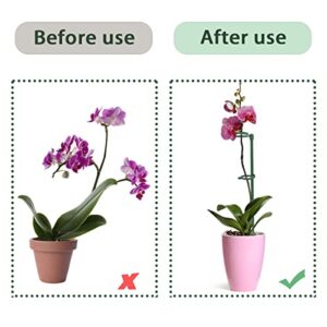 Plant Support Stakes Garden Stakes Plant Sticks Single Stem Flower Stakes, GAGINANG 6 PCS Plant Cage Stakes Rings with Fixed Buckle for Plant Flowers Orchid Peony Rose - 16 inches